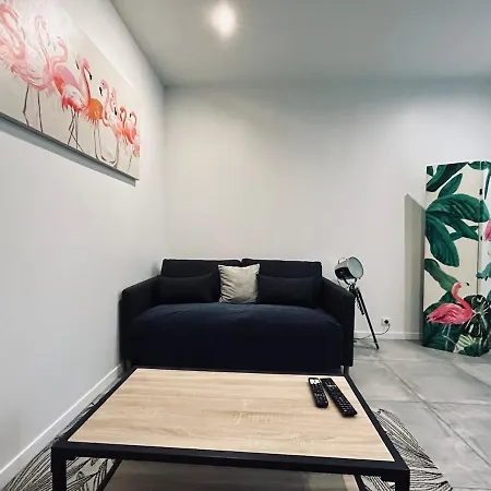 Saun Arene Grand T2 Proche Gare Avec Sauna Апартаменты