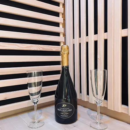 Saun Arene Grand T2 Proche Gare Avec Sauna * Реймс