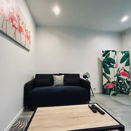 Saun Arene Grand T2 Proche Gare Avec Sauna