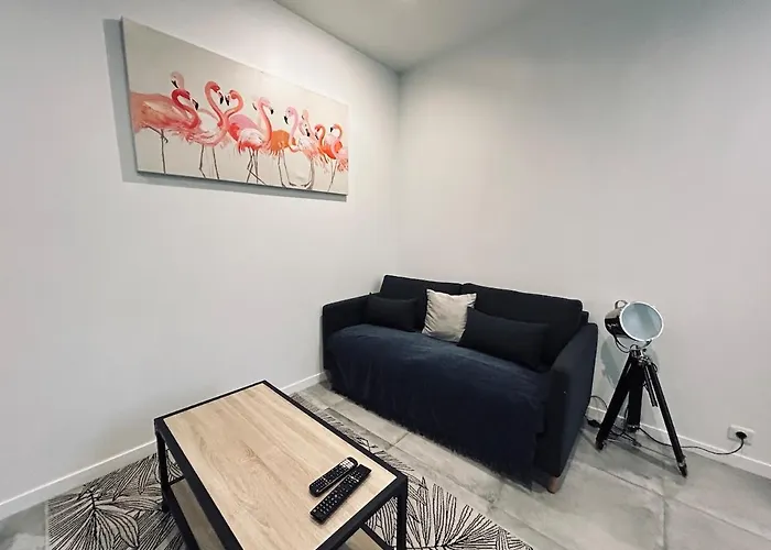 Saun Arene Grand T2 Proche Gare Avec Sauna Lejlighed *